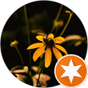 Ma M profile picture